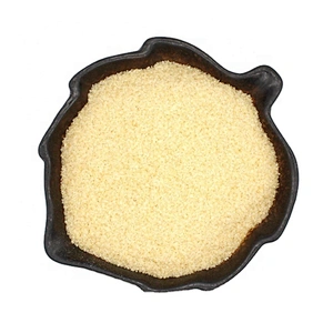 China Origin Food Grade Gelatin HALAL Certificated Bulk halal